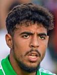 شادي رياض